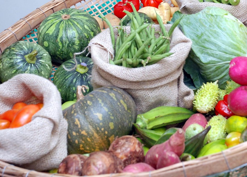 Alimentos-Crédito_Arquivo Incaper