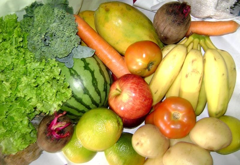 Alimentos01