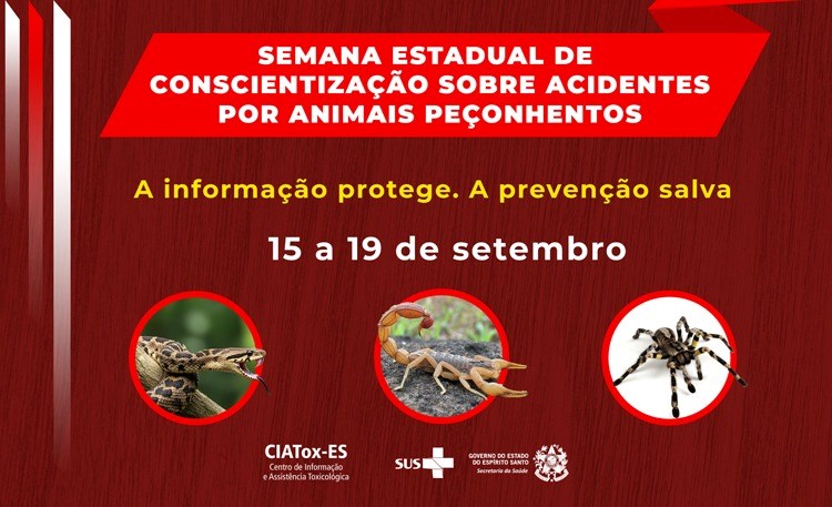 Capa texto (1)