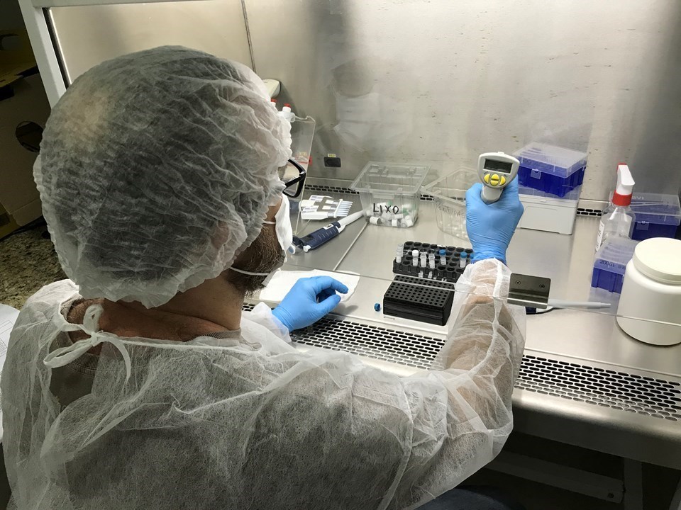 Capa-13