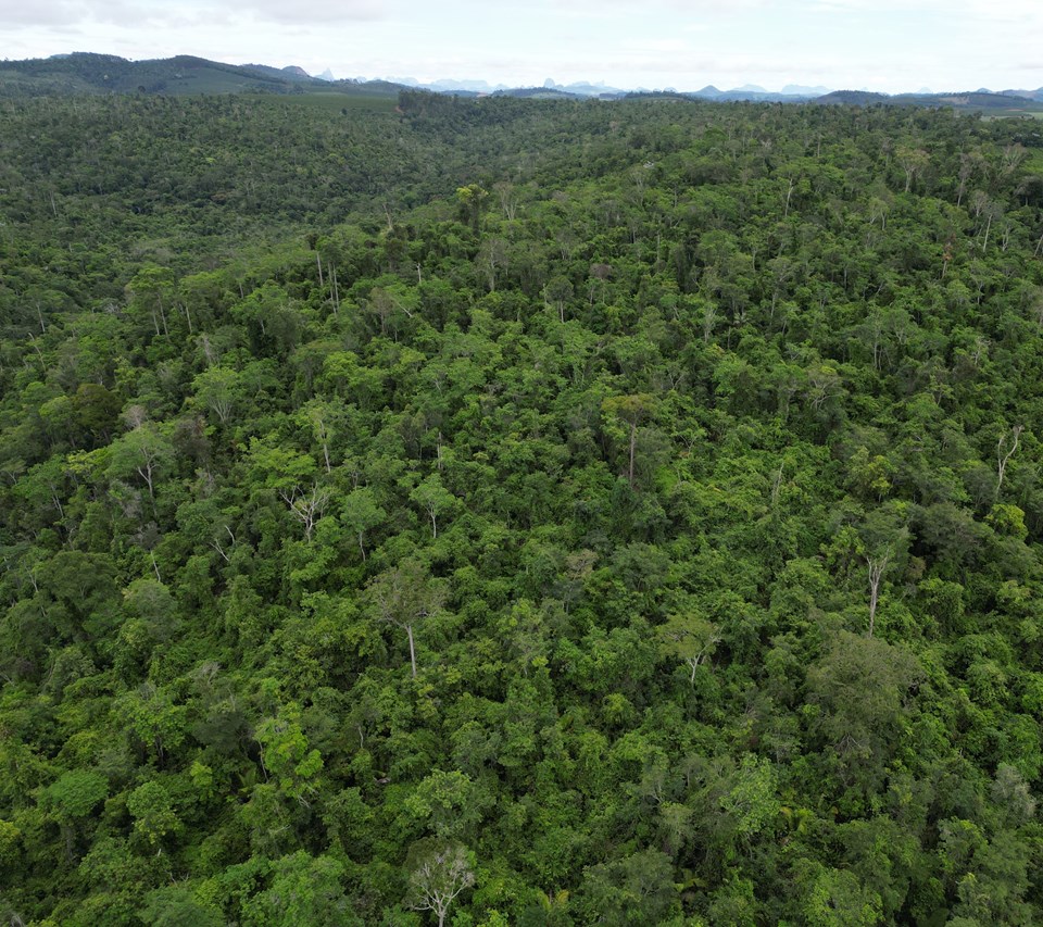 DJI_0140-1 (1)