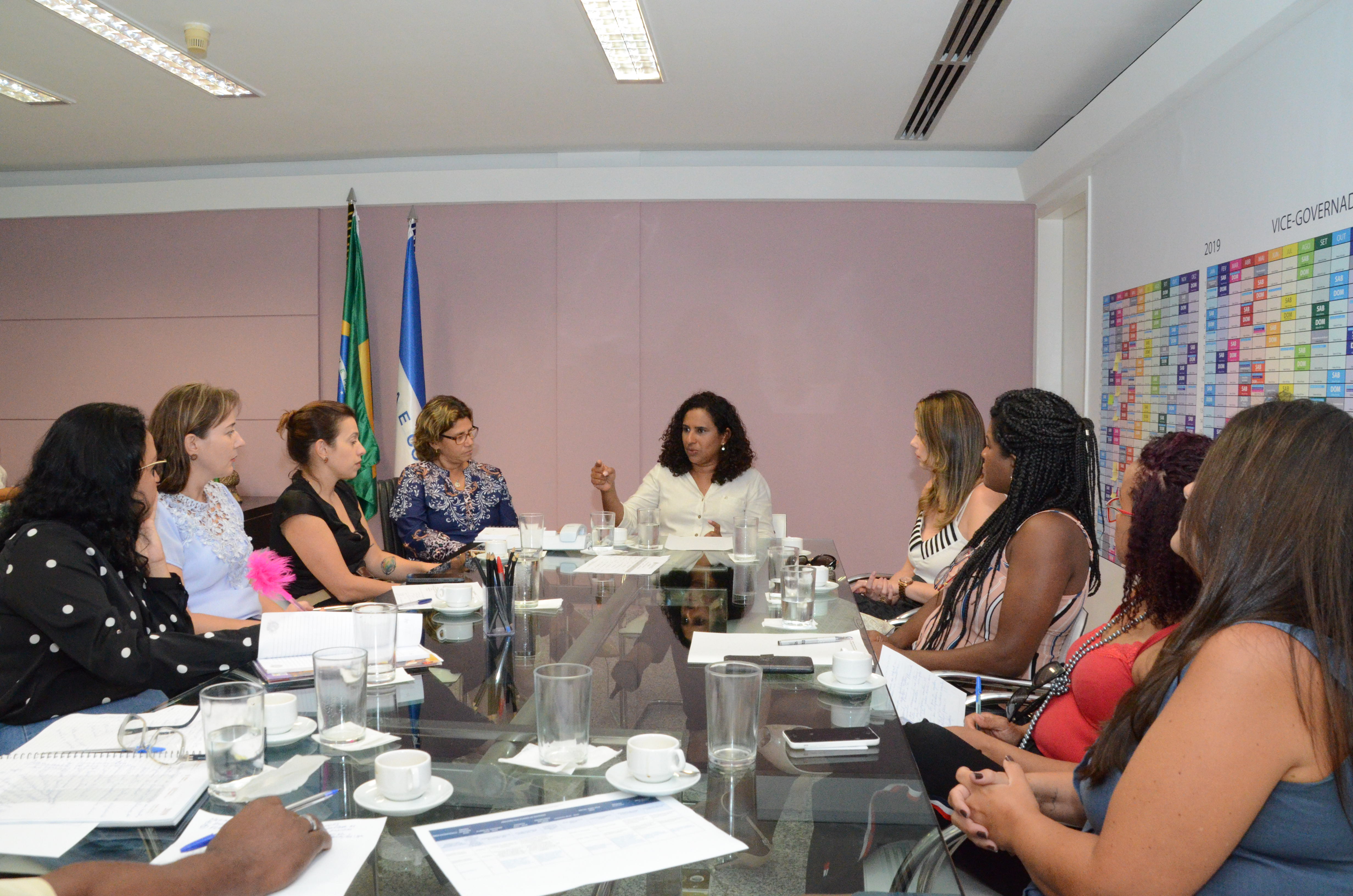 DSC_3930|||Fotógrafo:Adryan Oliveira/Vice-Governadoria