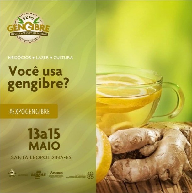 Expo Gengibre