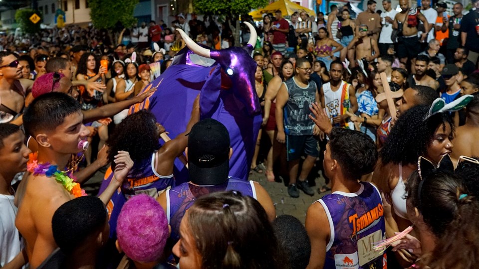 FOTO CARNAVAL4