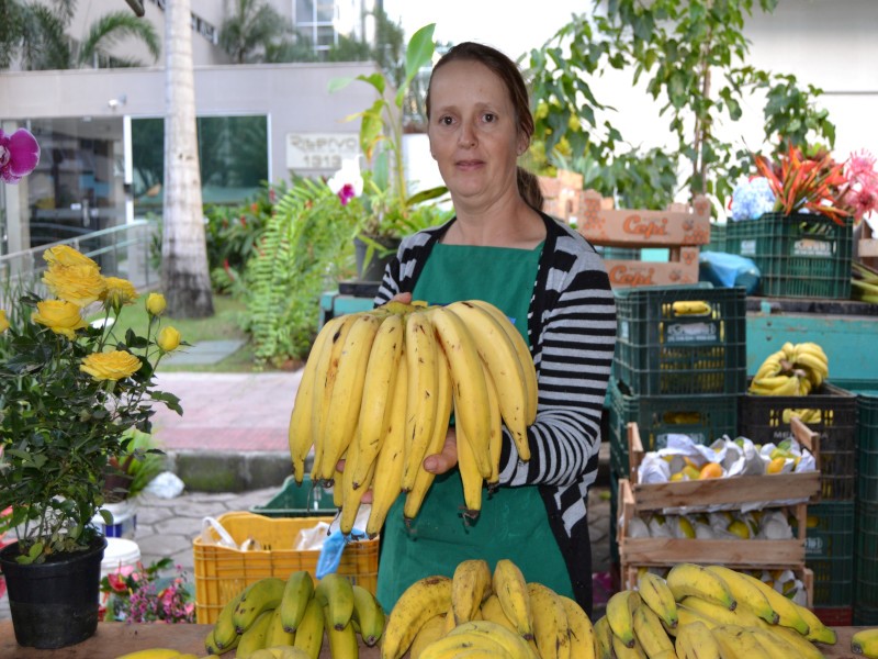 Feira
