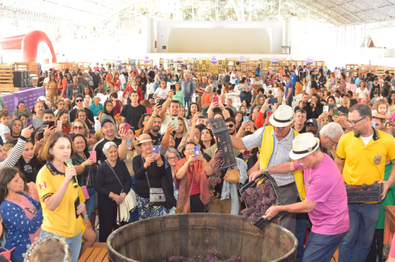 Festa do Vinho e da Uva de Santa Teresa. Foto Divulgação (2)