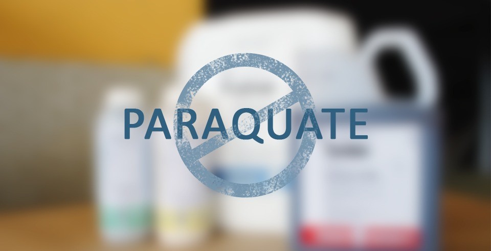 Foto Paraquate