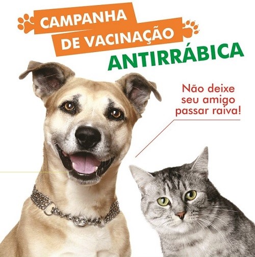 Foto antirrábica