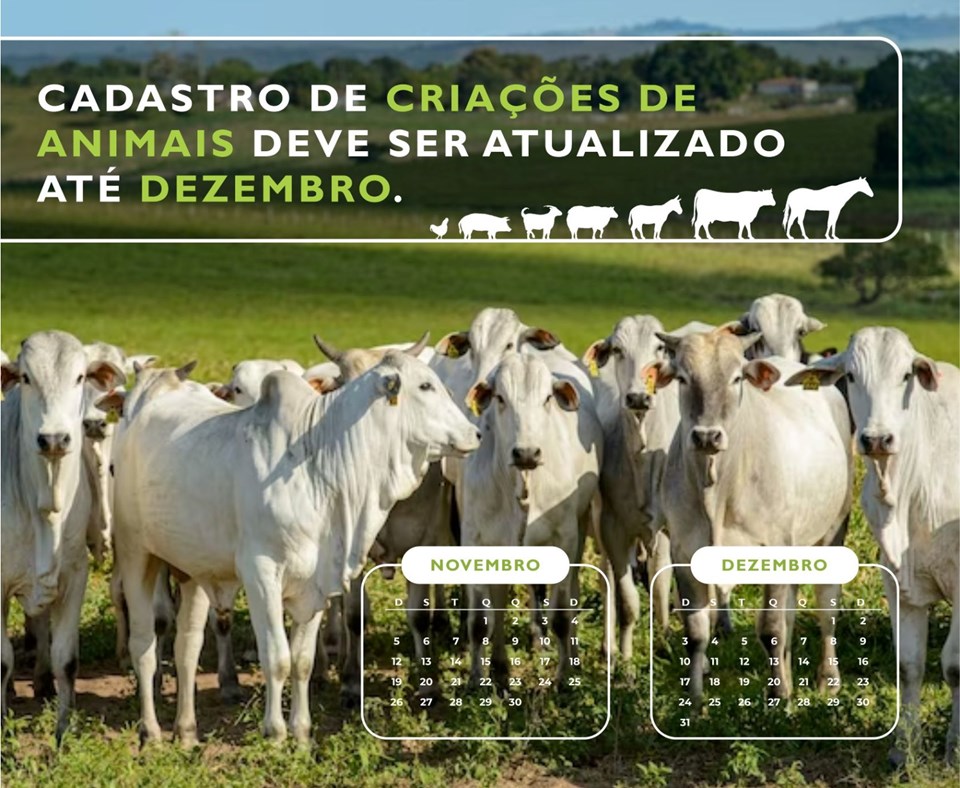 Foto atualização