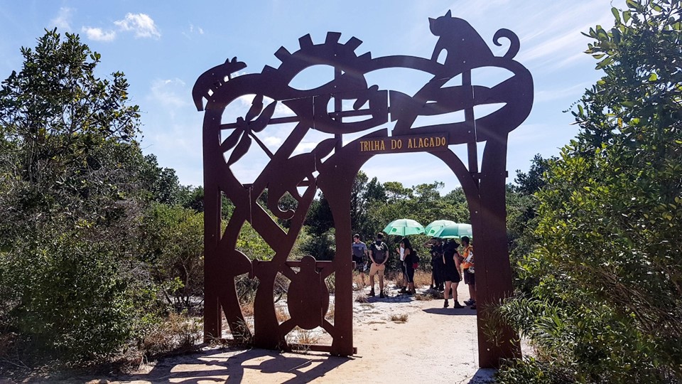Iema parque