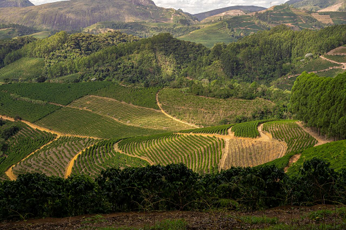 Img (4)-8|||Fotógrafo:Andrea Vivacqua