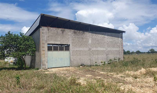 Img-69
