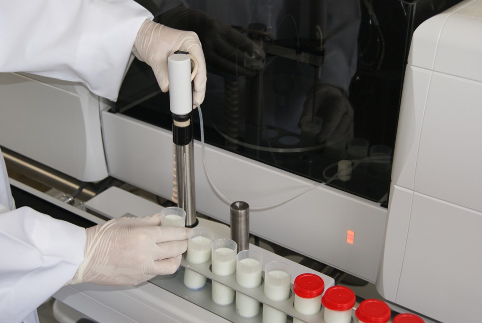 Lab. Leite (5)