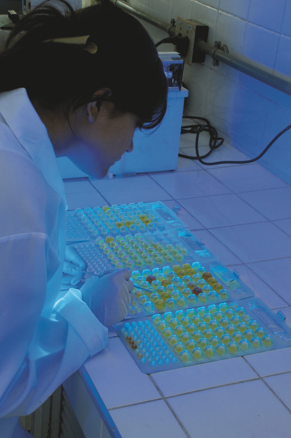 Laboratório de pesquisa na Ufes-1