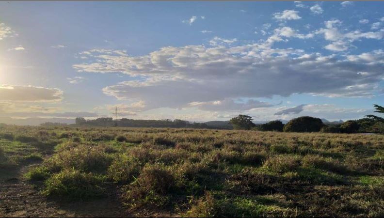 Lote 01 - Terreno em  Ibiapaba (1)