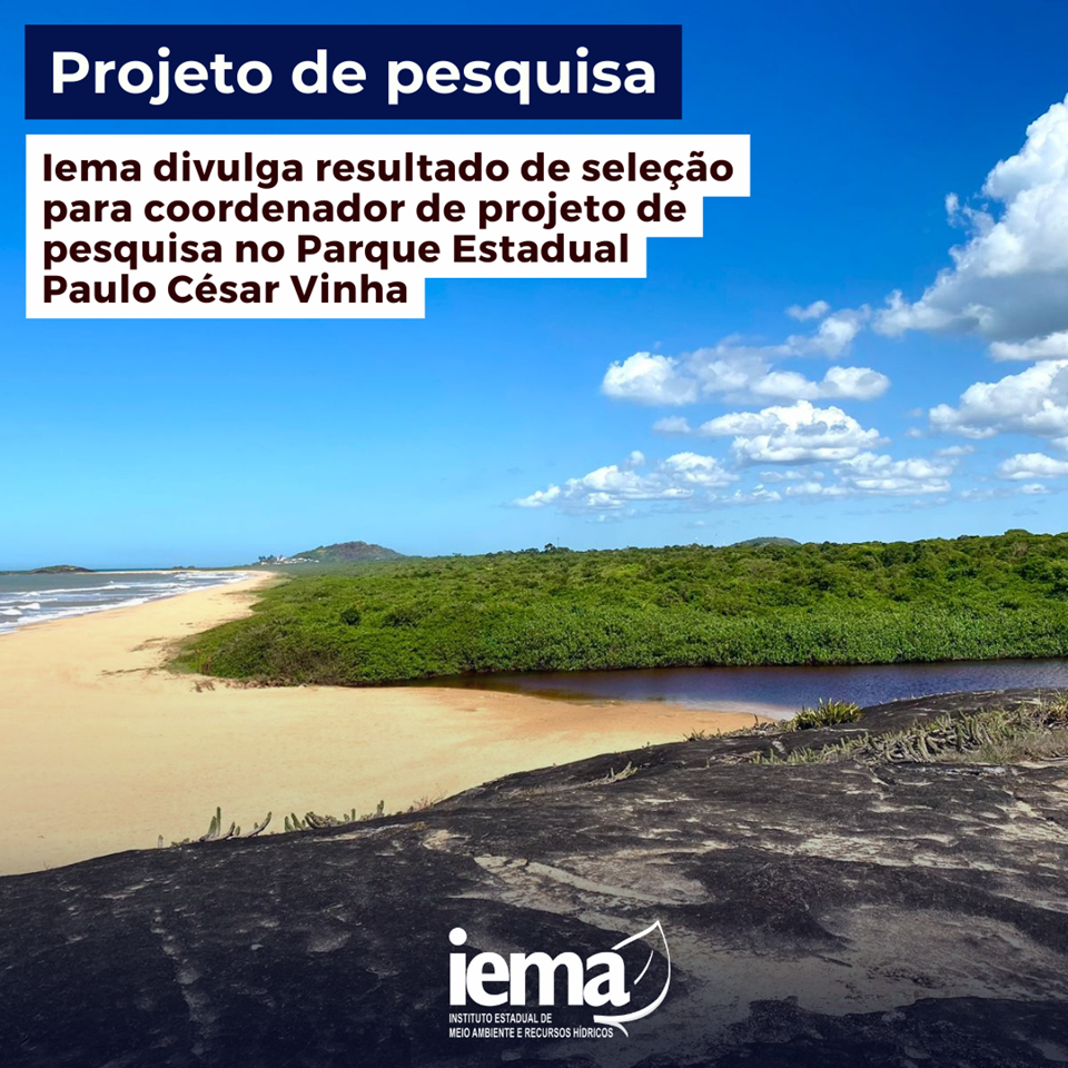 Mockups Iema-1