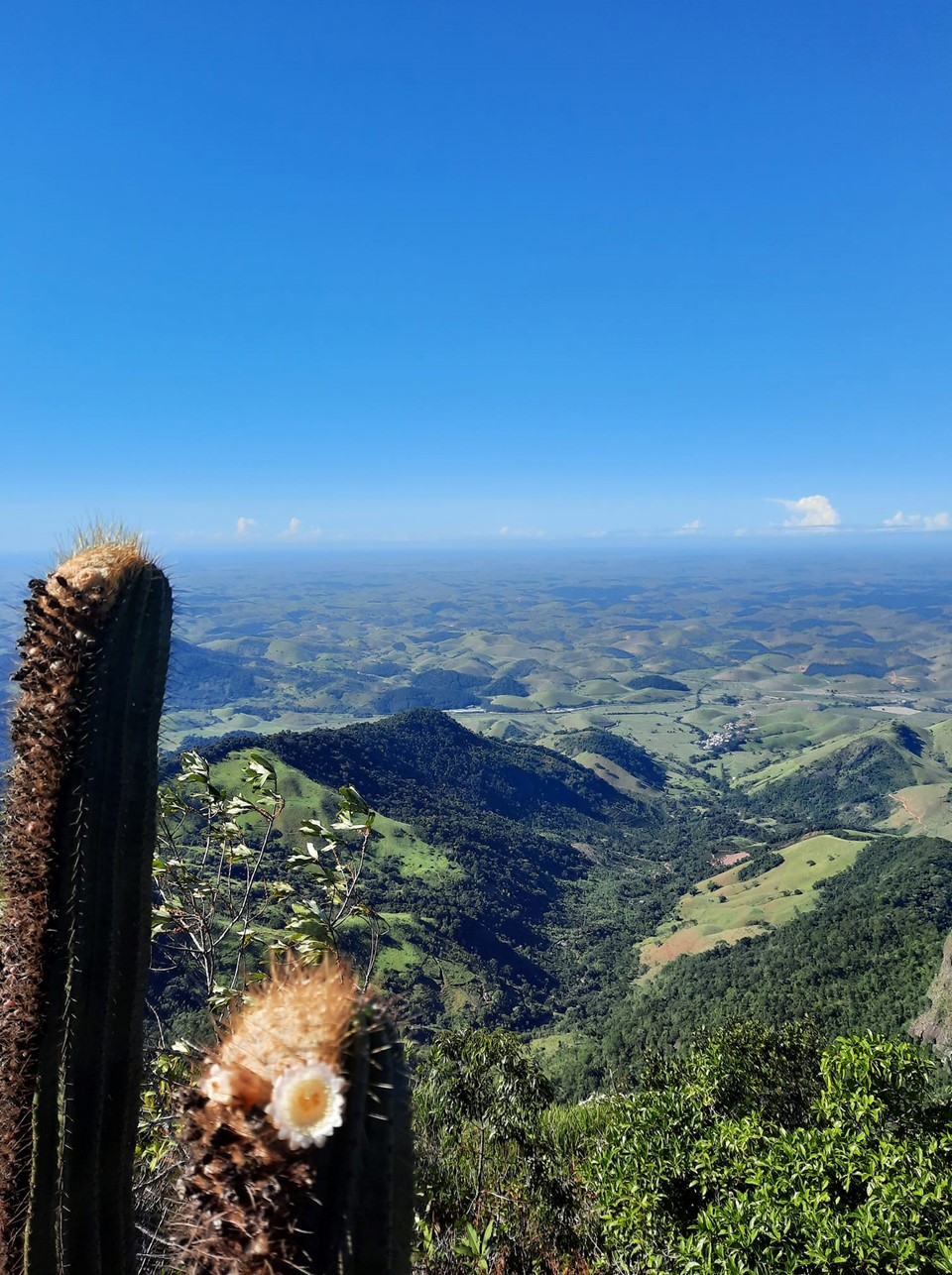 Monasfoto 2021 - Categoria popular - 1 lugar - Maria Madalena Almeida