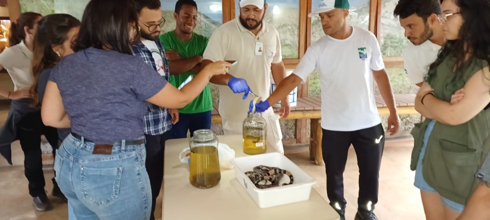 Oficina PEFG - Divulgação Iema (9)