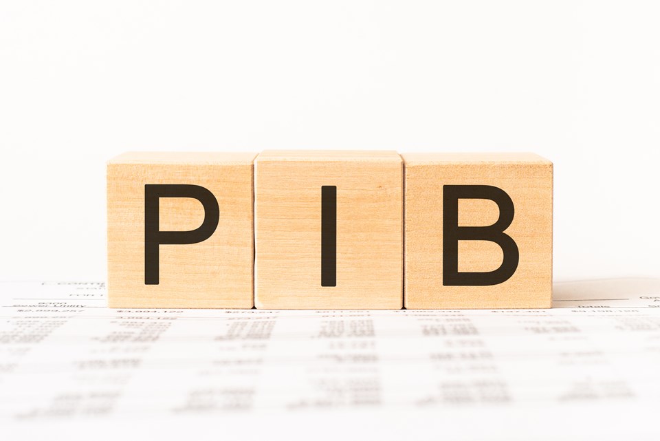 PIB_AdobeStock_376292435 (1)