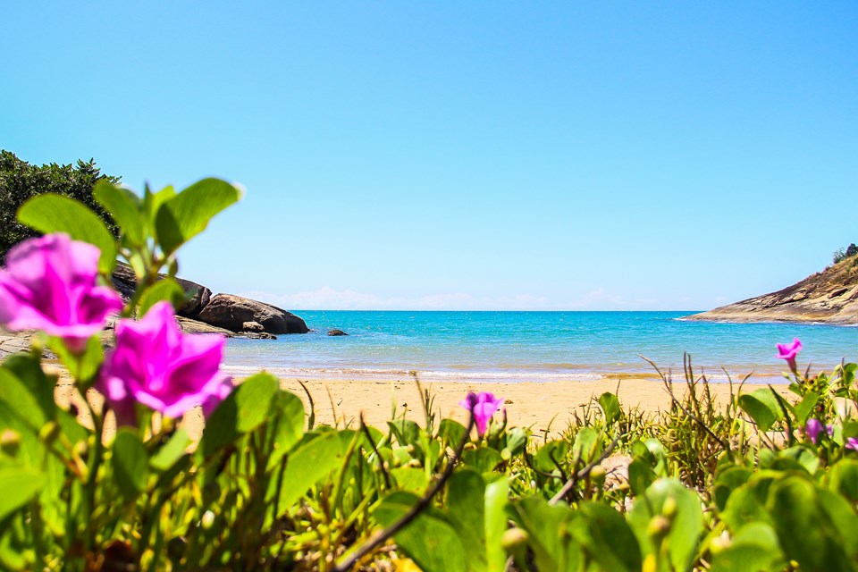 Praia do Sapê