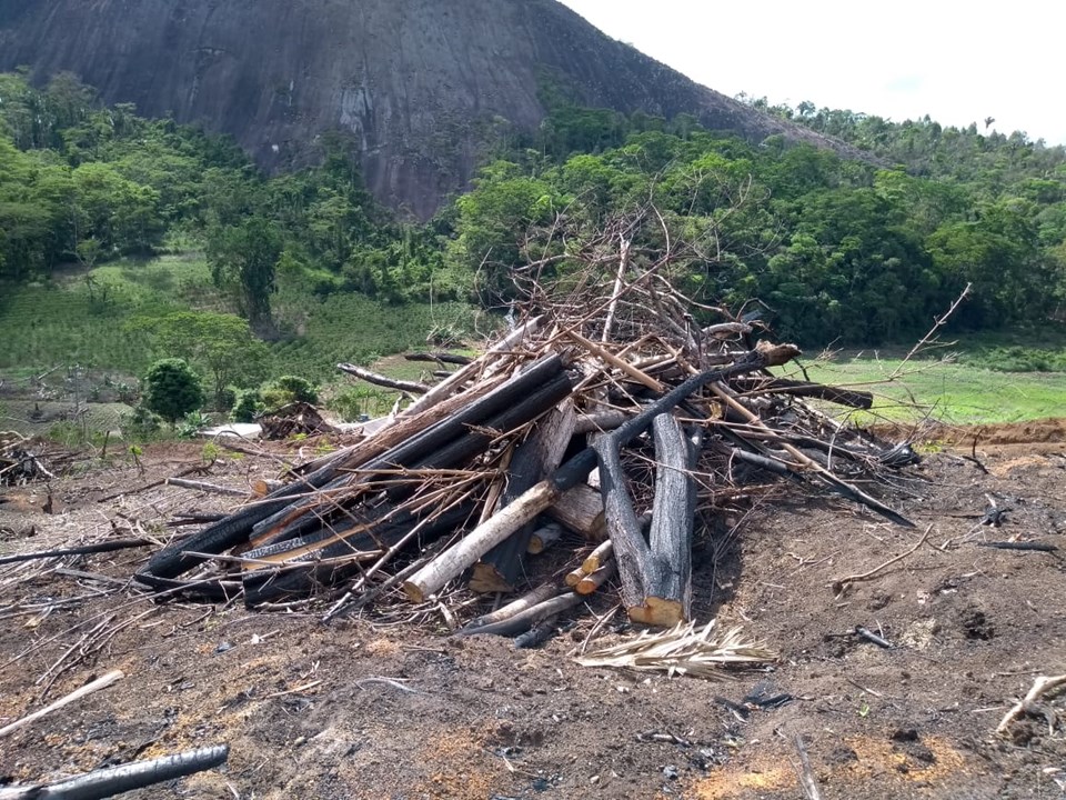 Queimada em Mantenopolis (4)