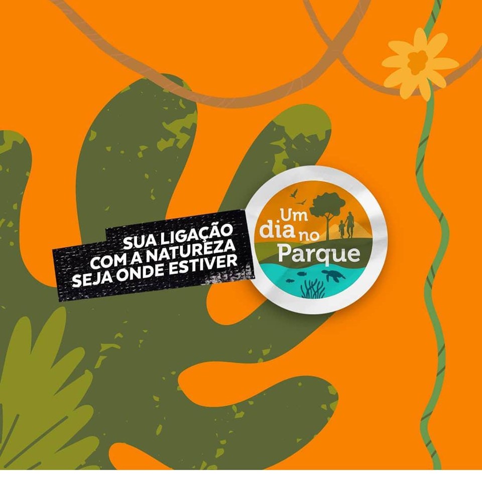 Um dia no parque 2021