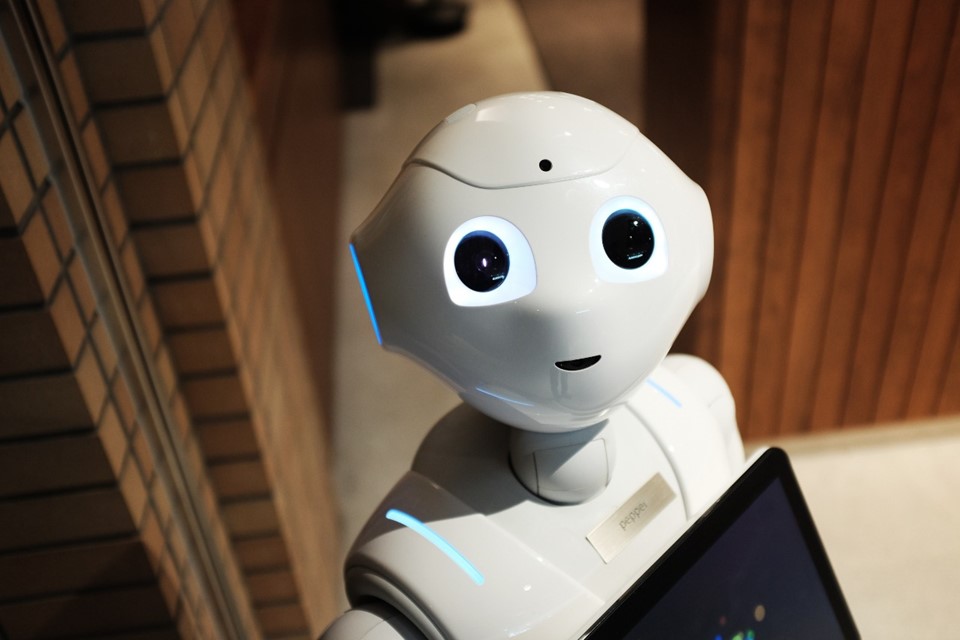 WhatsApp Image 2020-11-11 at 18.37.49|||Fotógrafo:Foto: www.pexels.com
