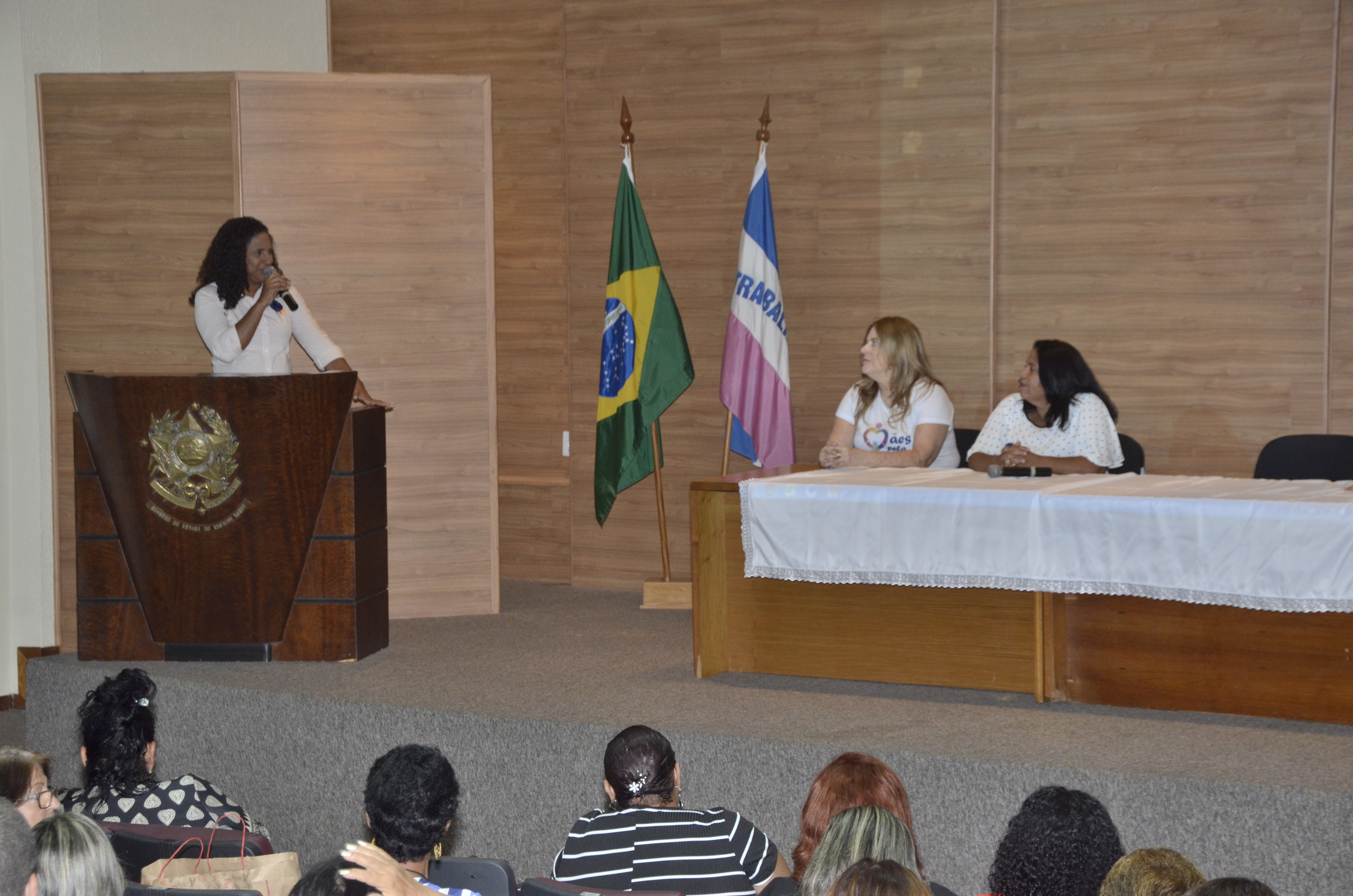 _DSC1191|||Fotógrafo:Assessoria da Vice-Governadoria