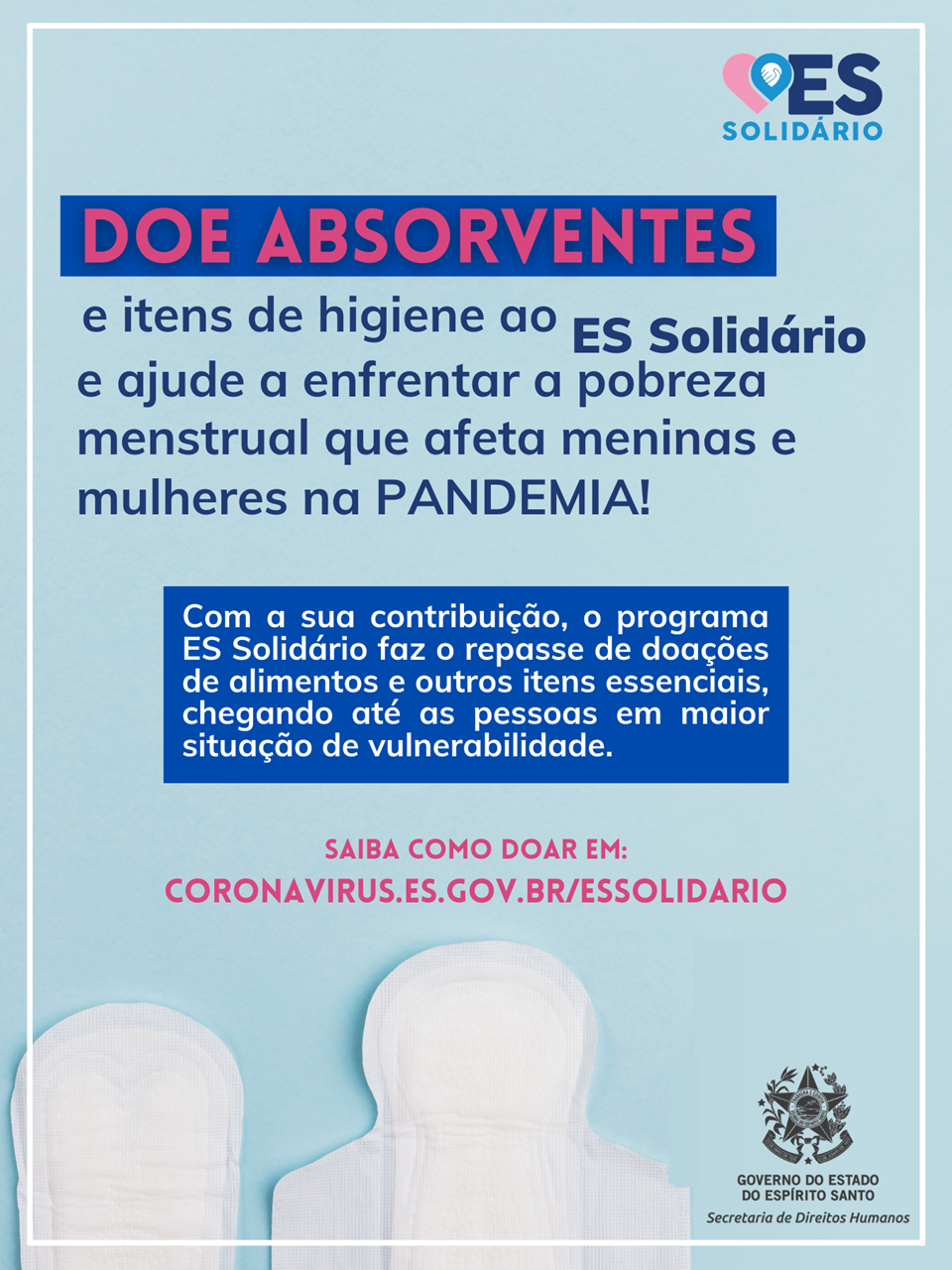 absorvente