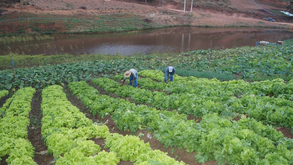 agricultores-2