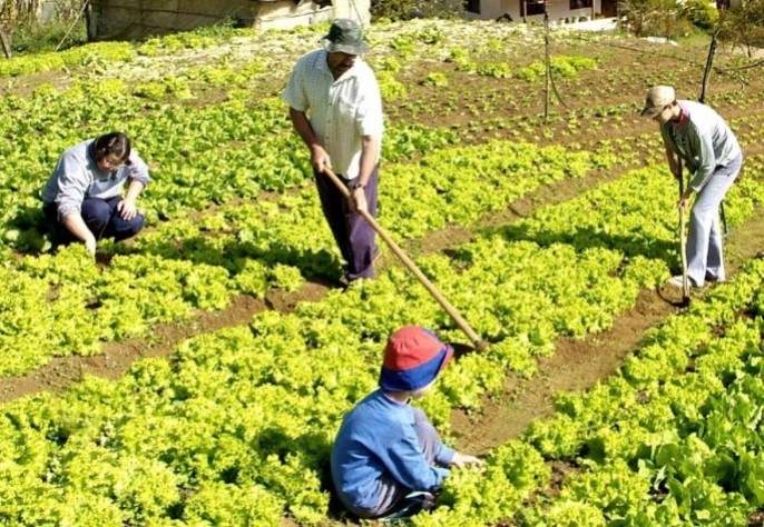 agricultura-familiar-1