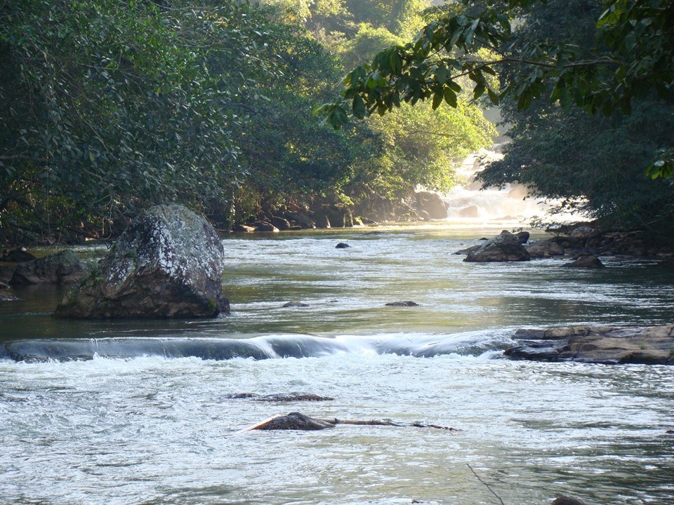 baciaju-1