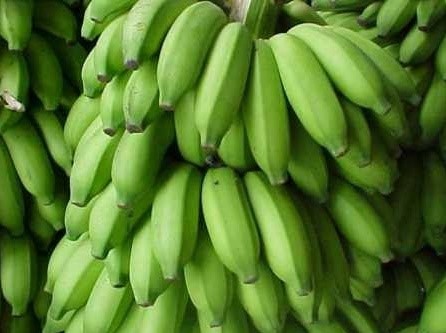 banana1