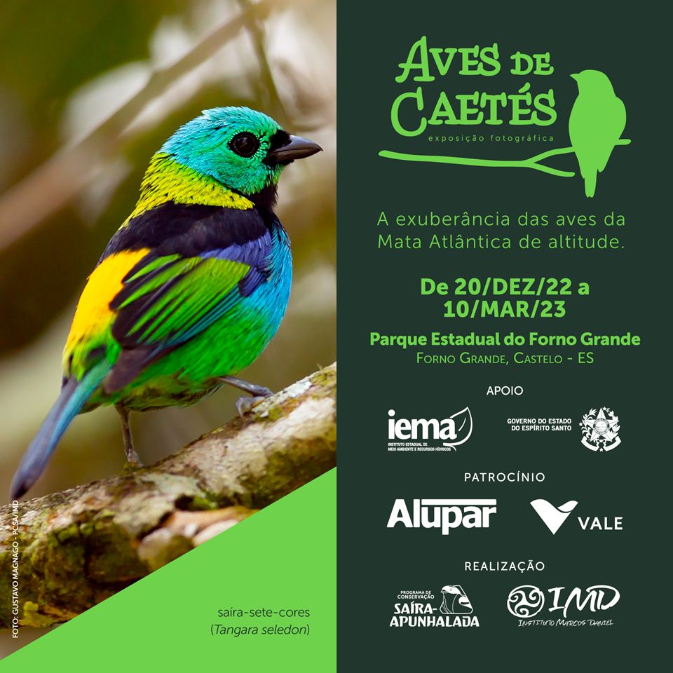 caetes01