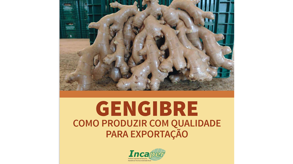 capa ginger site