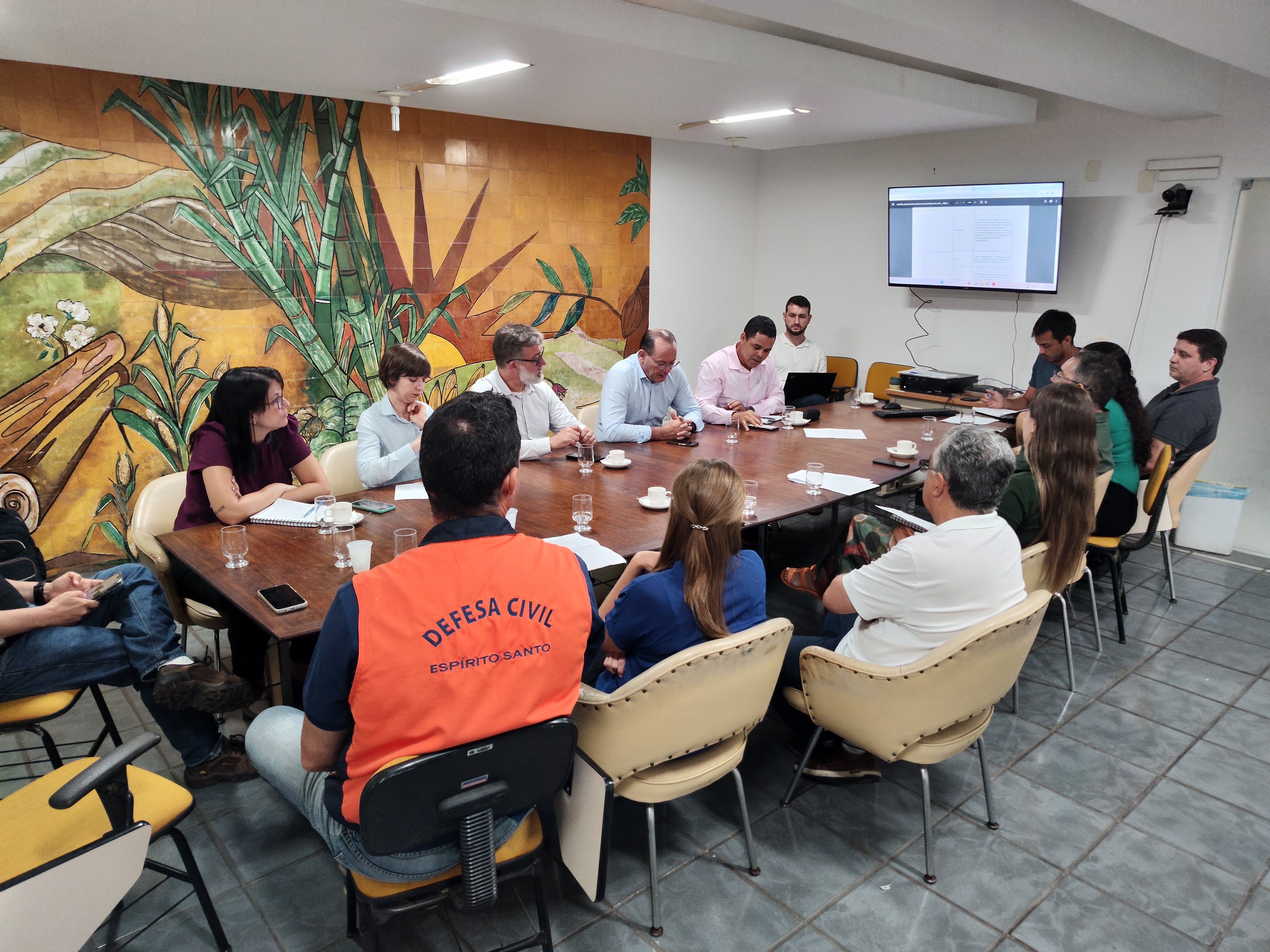 comite-influenza-aviaria-estado-emergencia-espirito-santo