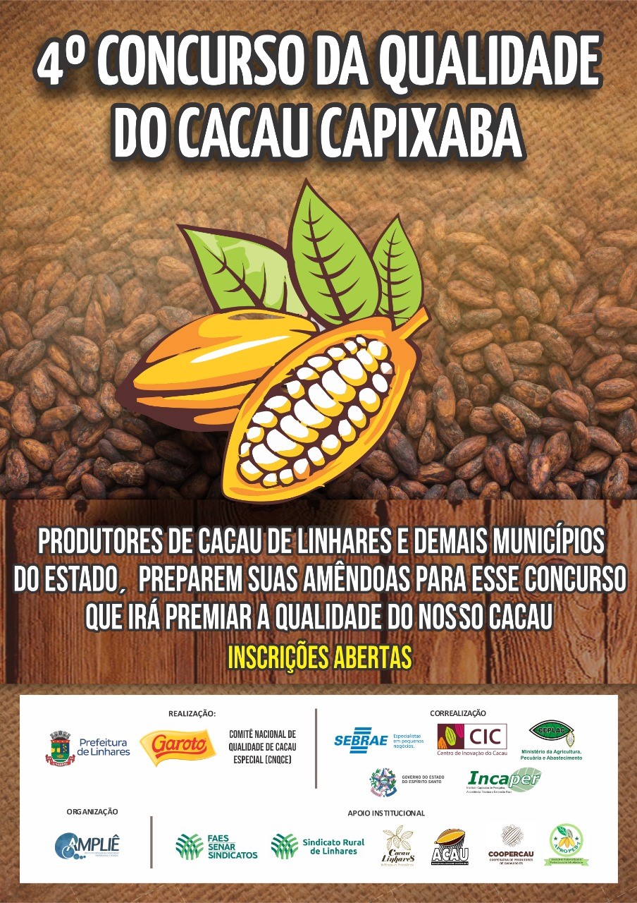 concurso_cacau