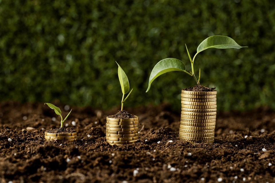 credito-rural-moedas-plantas