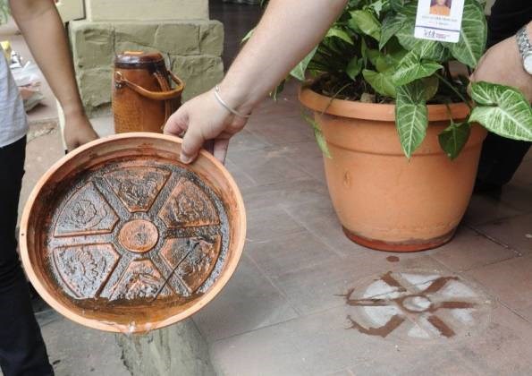 dengue-brreding-in-flower-pots