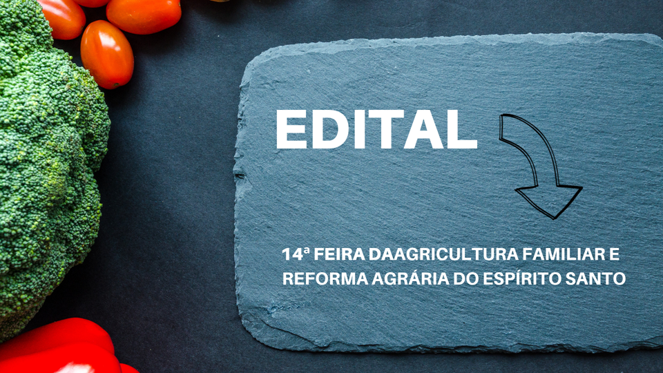 edital_feafes