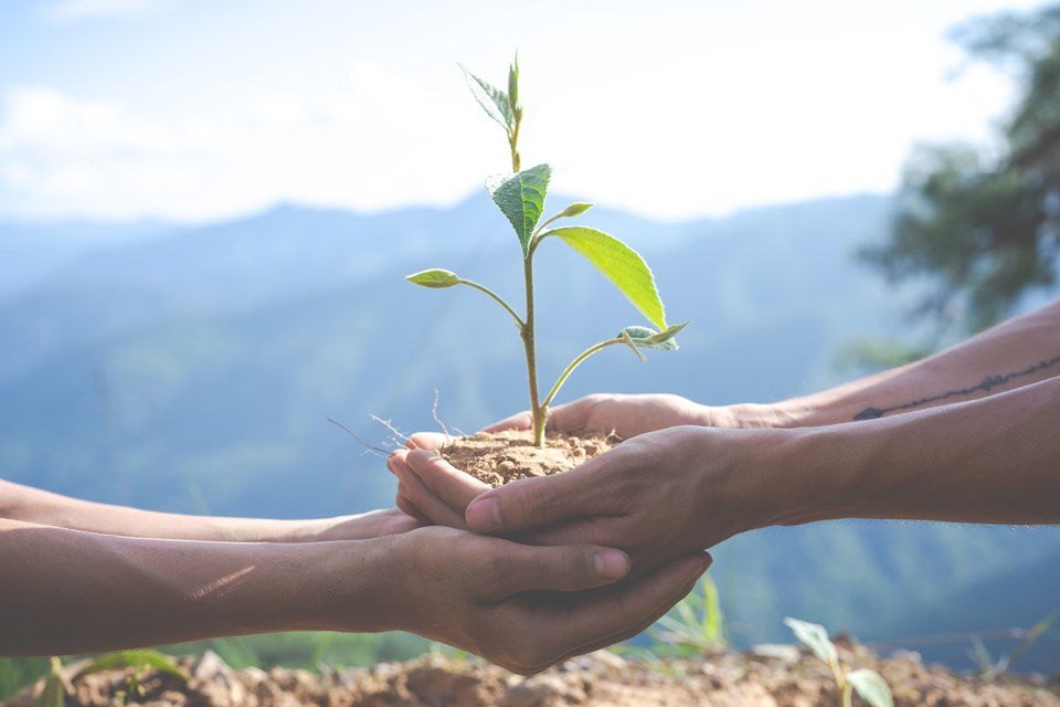 environmental-conservation-in-the-garden-for-children