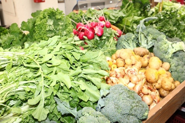 feira_agroec_Seag