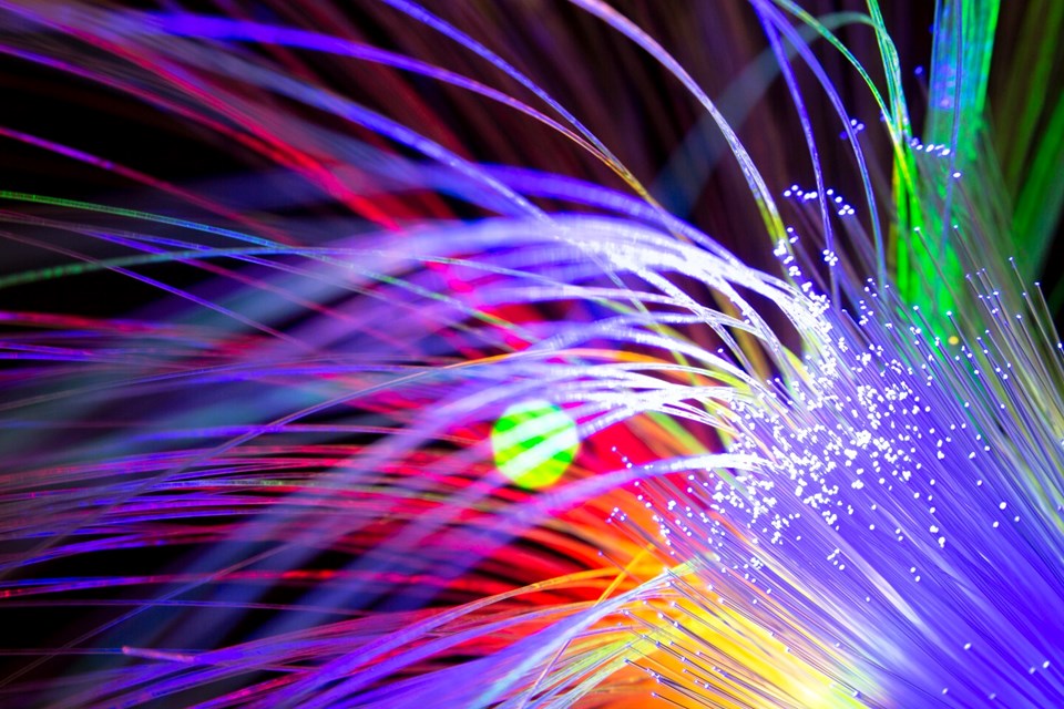 fibra_gov-4