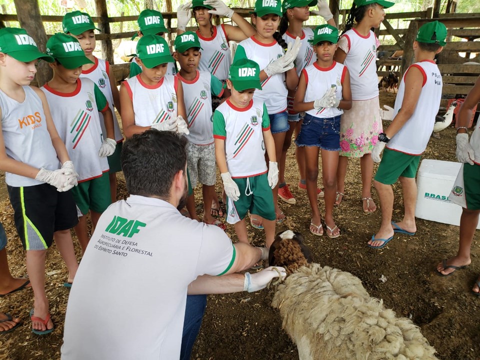 idaf1-5