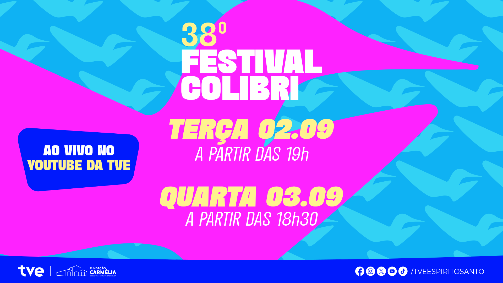 imagem release transmissão colibri atualizado