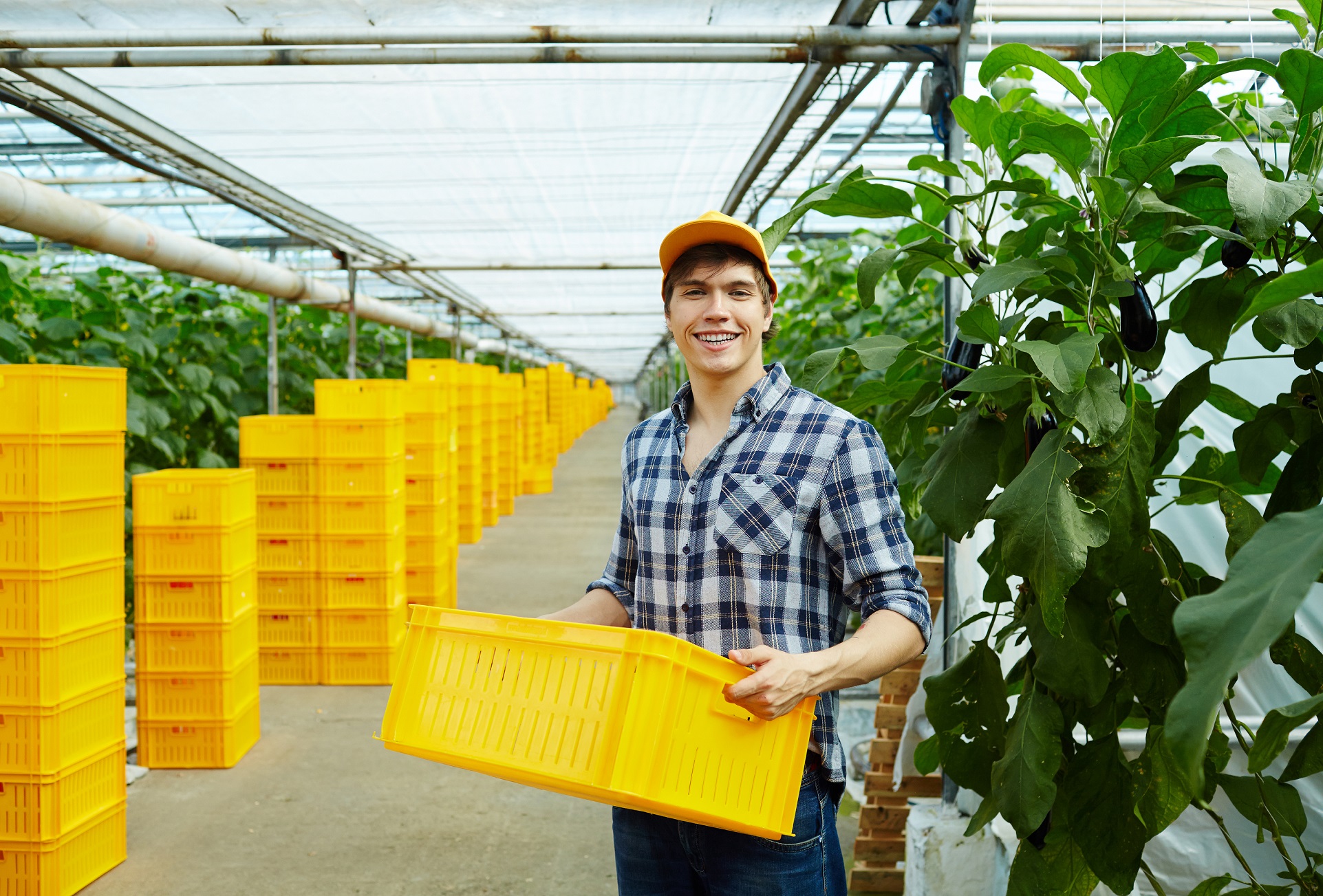 market-gardening (1)