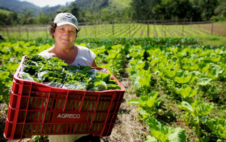 mulher-agricultora-955x600