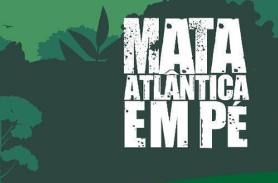 opmataatlantica001