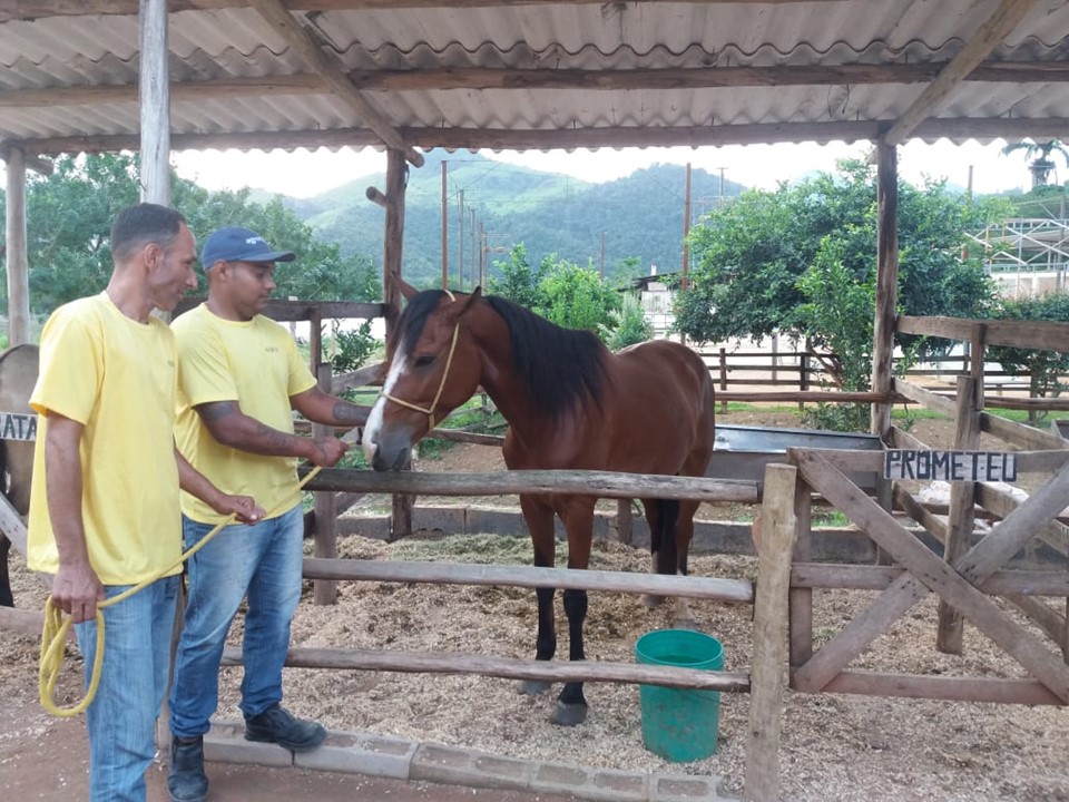 prometeu01