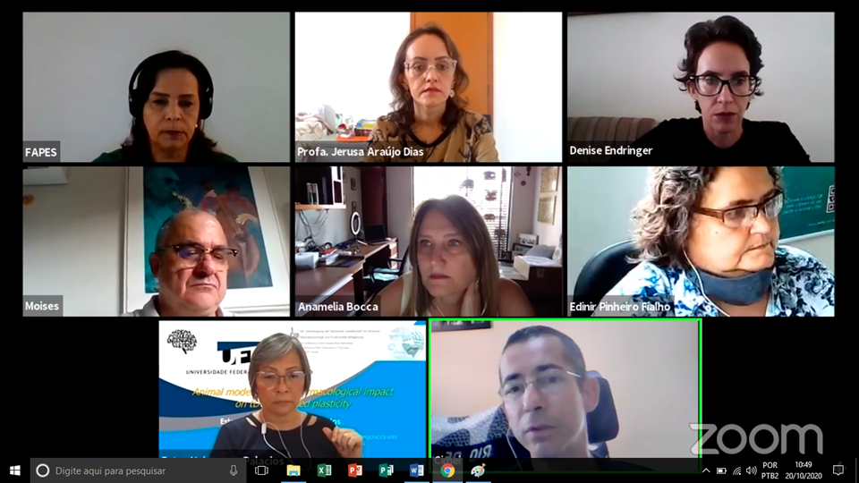 seminario-pronem-pronex-2020